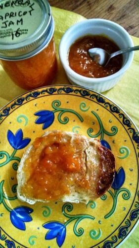 French-Style Apricot Preserves Recipe
